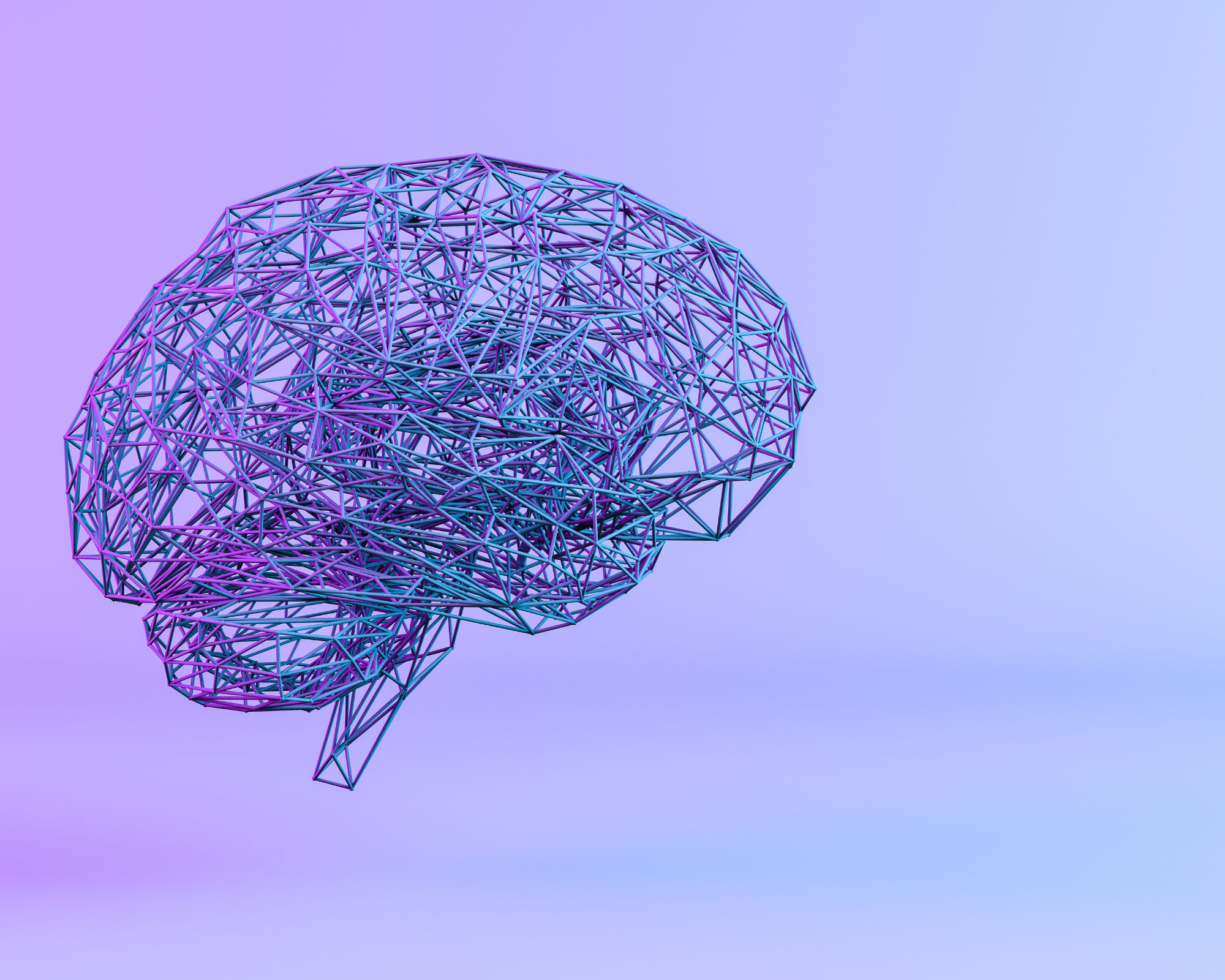 Bootcamp IA aplicada a la Imagen Médica